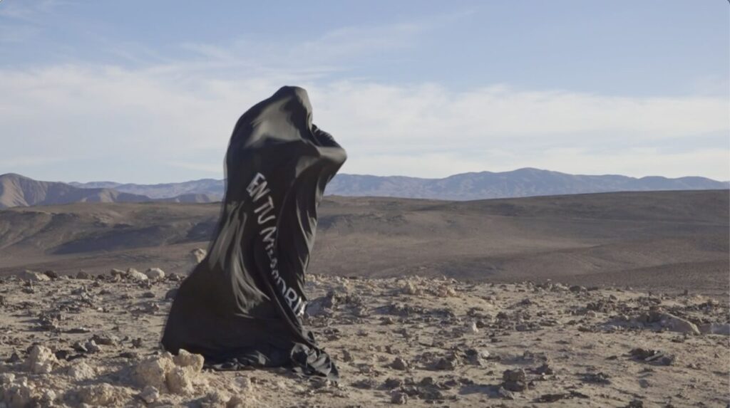 «Mar y Ruinas» de Paula Carmona abre temporada 2025 de espacio expositivo El Living 301