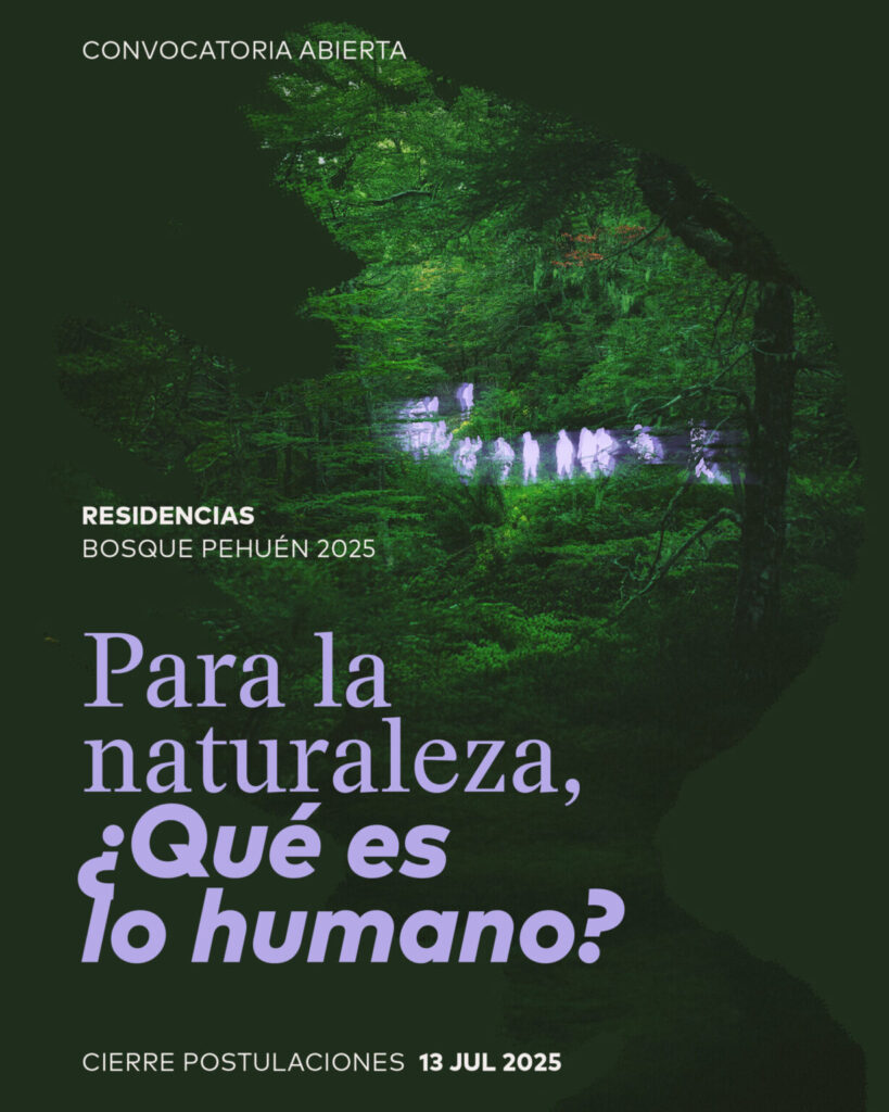 Residencia de Bosque Pehuén invita a repensar lo humano desde la perspectiva de la naturaleza